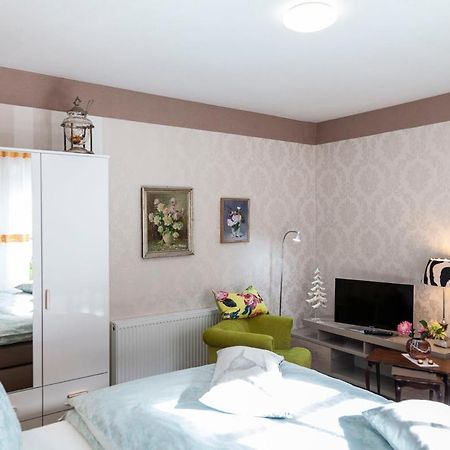 Sonnenhof Plauen Apartman Kültér fotó