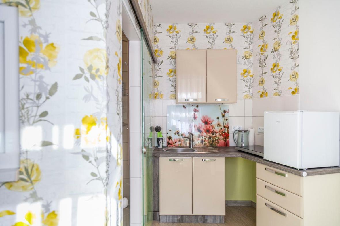 Sonnenhof Plauen Apartman Kültér fotó