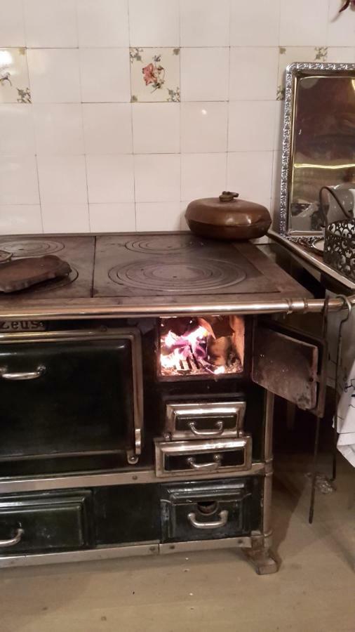 Sonnenhof Plauen Apartman Kültér fotó
