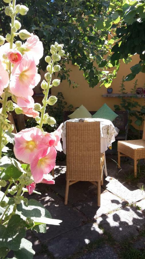 Sonnenhof Plauen Apartman Kültér fotó